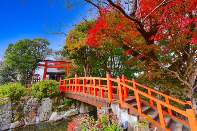 秋の行楽シーズンどこへ行く？